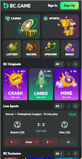 The Future of Gambling Exploring BC Game Casino Crypto Platform